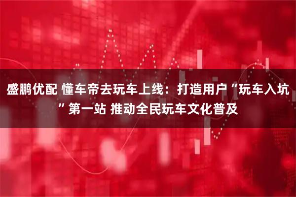 盛鹏优配 懂车帝去玩车上线:打造用户“玩车入坑”第一站 推动全民玩车文化普及