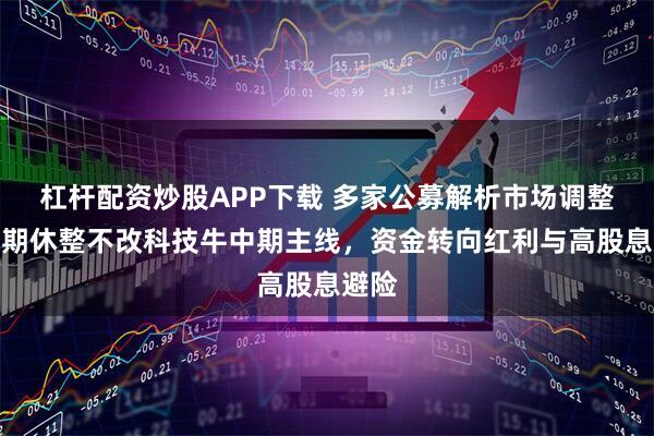 杠杆配资炒股APP下载 多家公募解析市场调整：短期休整不改科技牛中期主线，资金转向红利与高股息避险